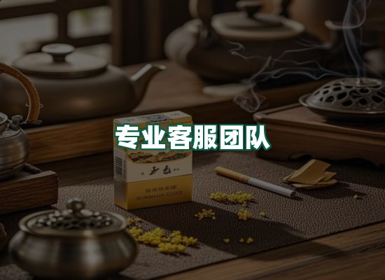 核心优势